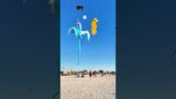 Do you like flying kites? #youtubetrends #youtubeshorts