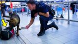 Dog Suddenly Runs Towards A Suitcase. Airport Police Open It And Start To Cry!