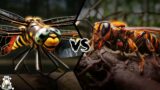 Dragonfly vs Wasp – Who Is The King Of The Insects?