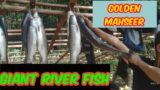 Dynamite fishing (Barak fish) #blasting#Barak river#Nagaland@Adventures production