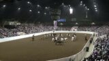 Equine Affaire 2022 Fantasia Opening