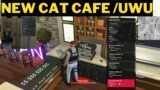 [ FREE ] CAT CAFE / UWU CAFE MLO & JOB