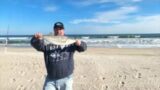 Fall Striper Fishing – Beach Fishing On Assateague Island National Seashore | Ocean City Maryland