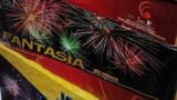 Fantasia 150 Shots – Leegendary Fireworks. New Year's Eve 2021-2022 Philippines