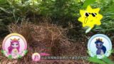 Filly Funtasia's Colourful Animals World – season 2 – Termites are highly teamworkable