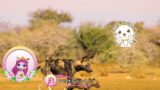 Filly Funtasia's Colourful Animals World – season 2 – The African wild dog's home has a "hole" day