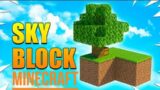 Fully armor complete | Sky Block part 2