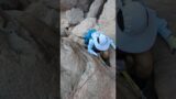 Goldstrike Canyon Hot Springs | Climbing down using Ropes | Pickupsports | Hiking Adventures | 49