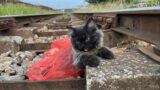 He was abandoned on the train tracks and thought he couldn't survive but a miracle happened