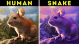 How Animals See the World | Amazing Facts about Animals You Forgot to Google