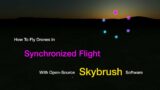 How I fly Drones in Synchronized Flight with Skybrush software.