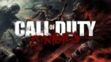 I THINK WE SUCK AT THIS GAME | Call of Duty Zombies ft.@biggmattg1055