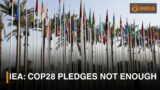 IEA: CoP28 pledges not enough & more updates |  DD India Live