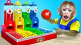 KiKi Monkey playing with Four Colors M&M Candy Dispenser | KUDO ANIMAL KIKI