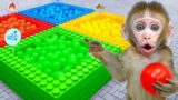 KiKi Monkey swimming in a Magic Four Colors Pool full of Ball Pit Balls | KUDO ANIMAL KIKI