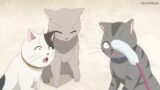 Komi Goes To Cate Cafe | Komi Likes Black Cats | Komi San Has weird Aura | Tadano Regrets
