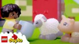 LEGO DUPLO | Animal Care + More Fun Stories | Cartoon for Kids | Preschool Learning