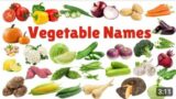 Learn Vegetaes names for nursery, LKG & UKG Kids| vegetables with picture| vegetable song for toddle