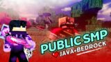 MINECRAFT LIVE | PUBLIC SMP 24/7 ANYONE CAN JOIN | JAVA + BEDROCK SMP #minecraft