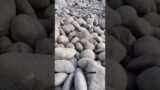 Mars stones found in kashmir || #trendingshorts #viralvideo #jammuandkashmirtourism