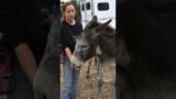 Maya talks about hugging the donks