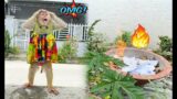 Monkey Lyly panicked and ran to the rescue when she saw the fire