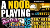 NOOB TO PRO #122 – I PLAYED THE BATTLE CATS ON 22nd DECEMBER AT 2:22 PM! FLOWER CAT TRUE FORM!!