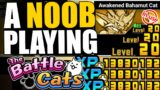 NOOB TO PRO #85 – OMG! AWAKENED BAHAMUT CAT IS WONDERFUL!! TALENTS UNLOCKED!  – The Battle Cats