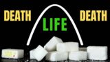 Nothing Wrong with Sugar, Time to Update Your Thinking!