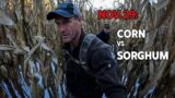 Nov. 29: Corn vs Sorghum – This one Surprised Me | Bowhunting Whitetails w/ Bill Winke