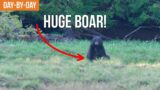One of the BIGGEST Black Bears We've Ever Seen | Alaska Bear (Ep.3)