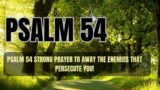 PSALM 54 STRONG PRAYER TO AWAY THE ENEMIES THAT PERSECUTE YOU!