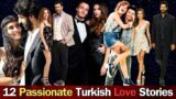 Passionate Love Stories: 12 Best Turkish Dramas to Watch with English Subtitles | Hindi/Urdu