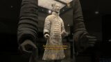 (Pt. 2/2) The only Terracotta Warrior found completely intact | Ep.79 #history #engineering