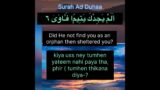 Quran reaction Surah ad Duha with English subtitles #quran #allah #viral #shorts