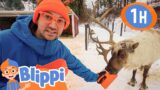 Reindeer Farm |  Blippi | Kids Learn! |  Kids Videos