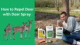 Repel DEER from Your Garden – Cheap, Fast, and Easy