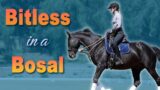 Riding Your Horse Bitless