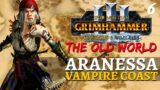 SWEEP THE STREETS | Old World Mod & SFO – Total War: Warhammer 3 – Vampire Coast – Aranessa #6