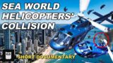 Sea World Helicopters' Collision 2023 Gold Coast | What We Know So Far | Short Documentary