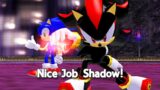 Sonic and Shadow 2024 CO-OP Experience!