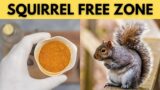 Squirrel Free Zone How to Get Rid of Squirrels in Your Garden, Attic, Walls, and Potted Plants with