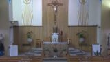 St. Pius X – Daily Mass (7:30AM)
