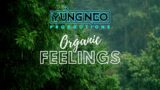 [Stylish Type] Organic Feelings #beats #stylish #flstudio #rapbeats #beatmakersworld 2023beats.