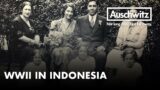Surviving Against All Odds: Evaline Scheinfarb's Journey Through a WWII Indonesian Internment Camp