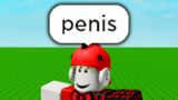 Swearing in Roblox