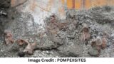 Terracotta figurines found during excavations at Pompeii