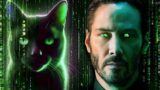 The Matrix Cat is Not What You Think | MATRIX EXPLAINED