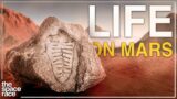 The Truth About Life On Mars!