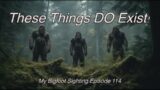 These Things DO Exist! – My Bigfoot Sighting Episode 114